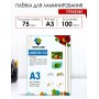 Пленка для ламинирования 303х426 мм 75 мкм А3 глянцевая