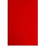 Обложки для переплета А3 пластиковые красные